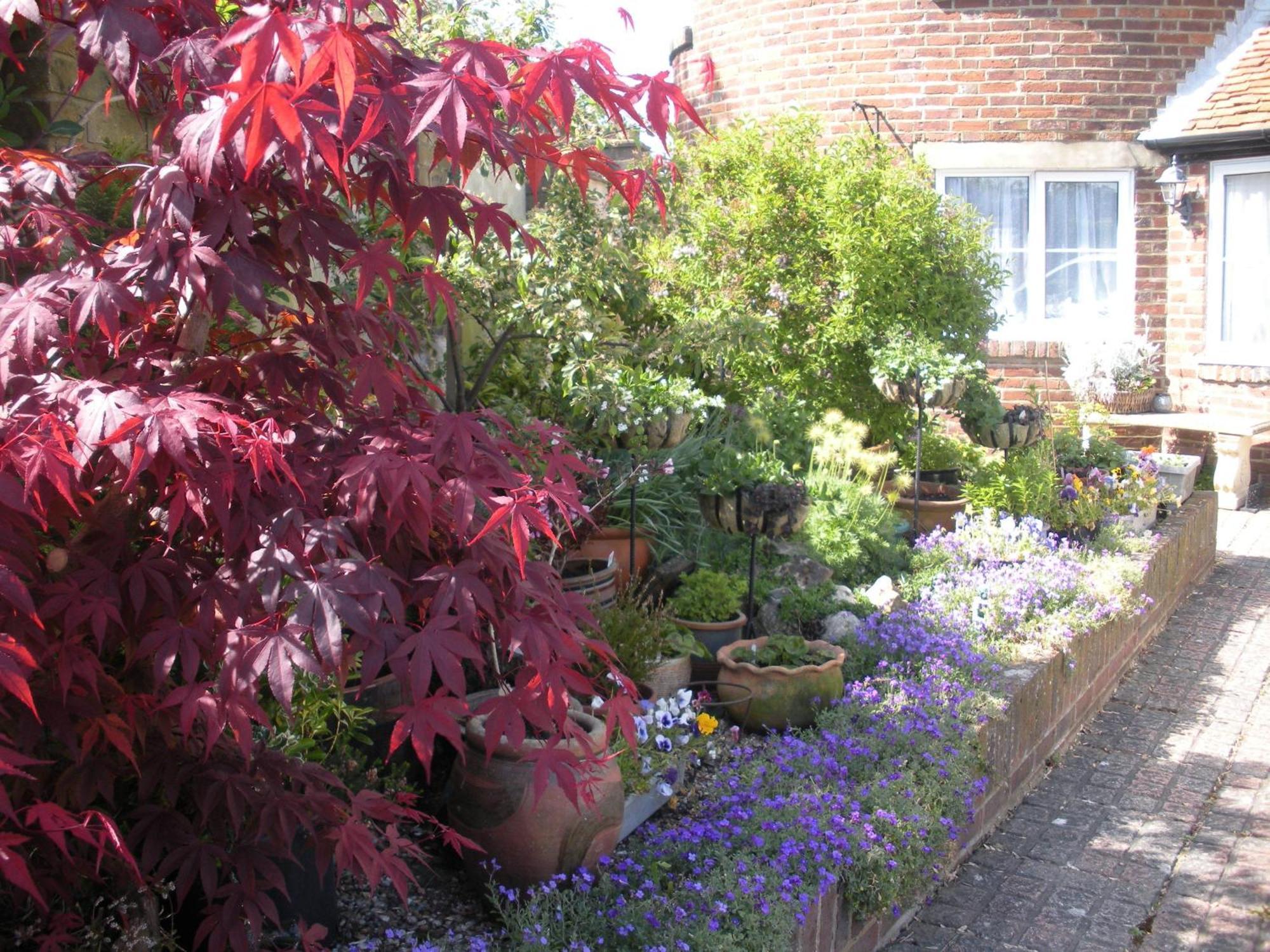 Manor Farm Oast Bed & Breakfast Winchelsea Luaran gambar